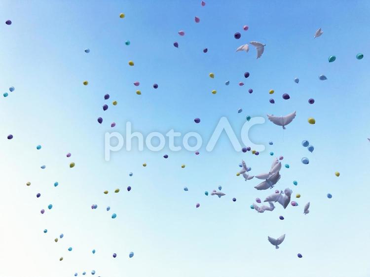 空に舞う風船 風船,バルーン,カラフルの写真素材