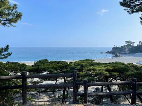 桂浜公園 桂浜公園の写真