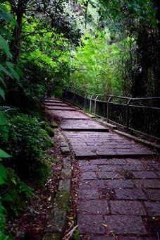 石畳の道1 石畳の道1の写真