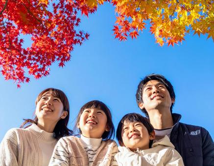 青空の下で秋の紅葉を仲良く鑑賞する家族 青空の下で秋の紅葉を仲良く鑑賞する家族の写真