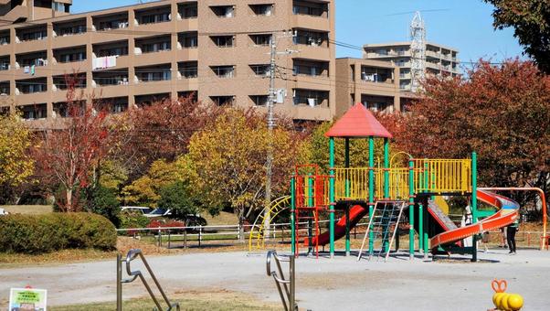 秋の宇喜田公園の紅葉・遊具公園・江戸川区 秋の宇喜田公園の紅葉・遊具公園・江戸川区の写真