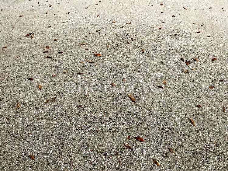 落ち葉がまばらに散っている公園の砂利 砂,砂利,落ち葉の写真素材