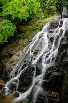 千寿院の滝(糸島市二丈) 千寿院の滝(糸島市二丈) 糸島市,二丈,満吉の写真素材