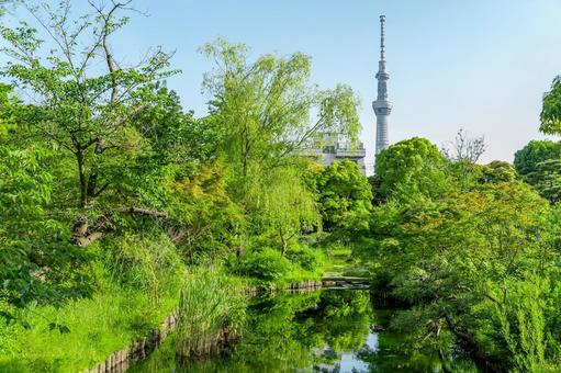墨田区 向島百花園(東京) 墨田区 向島百花園(東京)の写真