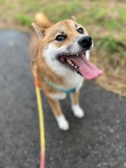 ニコニコ ニコニコの写真