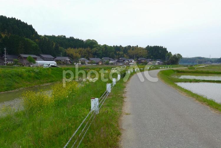 田舎の風景 道路,道,川の写真素材
