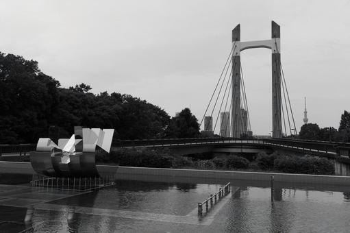 木場公園 木場公園,公園,モノクロの写真素材