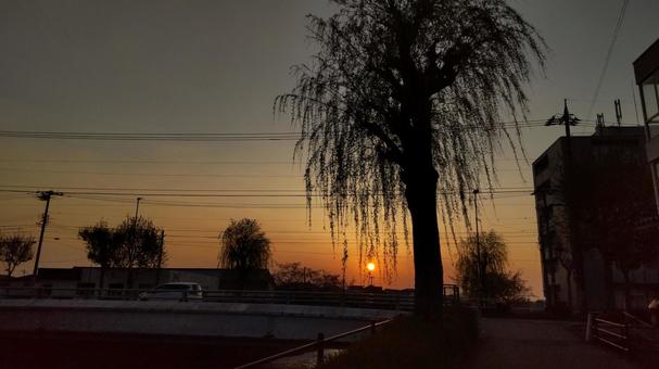 夕陽 夕陽の写真