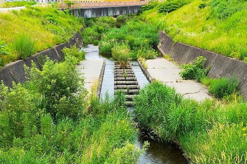 2025年7月の里山7 2025年7月の里山7 用水路,水路,川の写真素材
