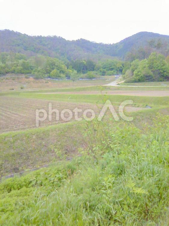 田舎の田んぼの景色 田んぼ,田舎,春の写真素材