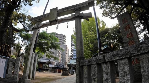 東京都足立区綾瀬４丁目　綾瀬稲荷神社 東京,足立区綾瀬,綾瀬稲荷神社の写真素材