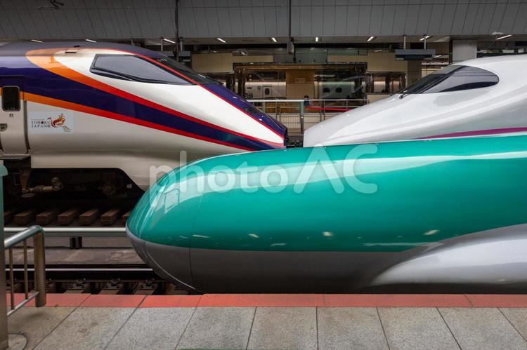 東京駅新幹線ホームの新幹線先頭部 東京駅,連結,先頭部の写真素材