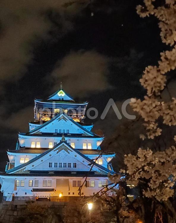 大坂城と夜桜 景色,夜景,お城の写真素材