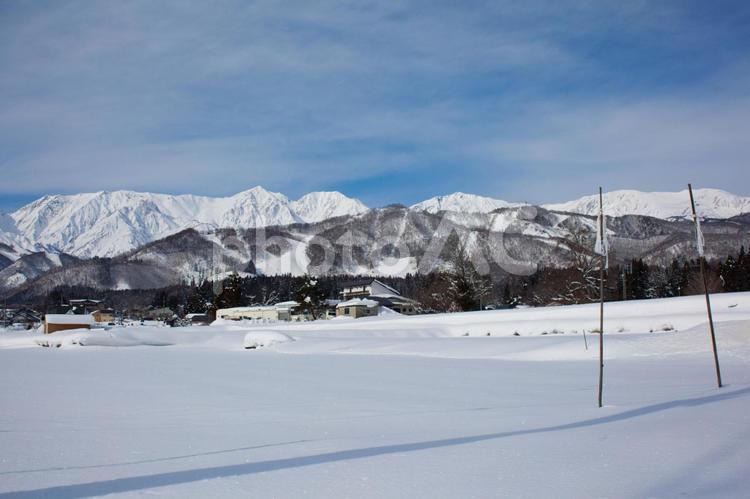 酷寒の白馬　北アルプスと岩岳スキー場 自然,山,風景の写真素材