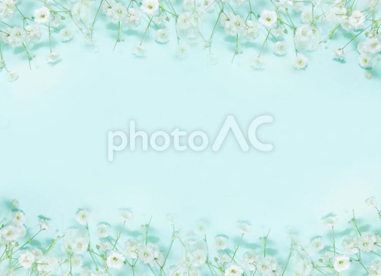 かすみ草　フレーム かすみ草,フレーム,枠の写真素材