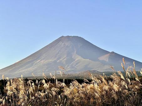 黄金色のススキと富士山 黄金色のススキと富士山 富士山,ススキ,秋の写真素材