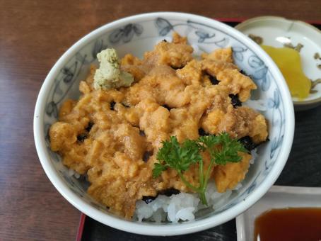 青森のウニ丼  旅先,旅,ドライブの写真素材