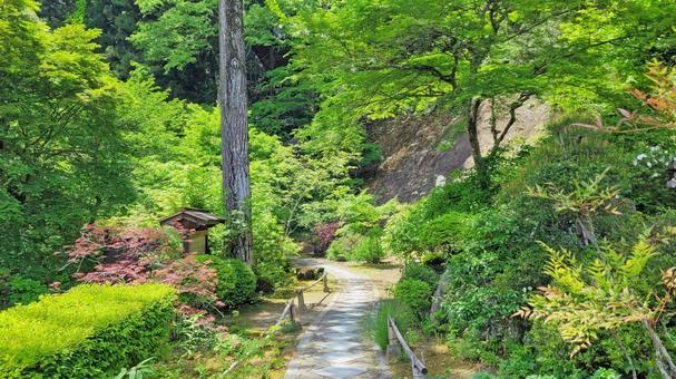 秩父34観音 32番 法性寺 新緑の参道 秩父34観音 32番 法性寺 新緑の参道の写真
