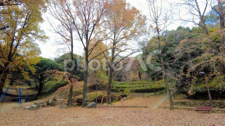 落ち葉に包まれた蛇ヶ谷公園の遊び場 蛇ヶ谷公園,玉名市,熊本県の写真素材
