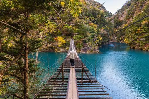 静岡県　寸又峡の夢の吊橋・秋景色 寸又峡,紅葉,風景の写真素材