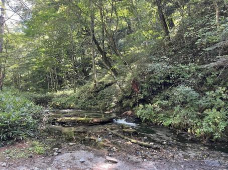 上高地 上高地 上高地,長野,山の写真素材