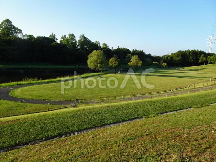 万博記念公園 公園,自然,風景の写真素材
