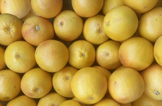 山積みグレープフルーツ 果物,果実,フルーツの写真素材