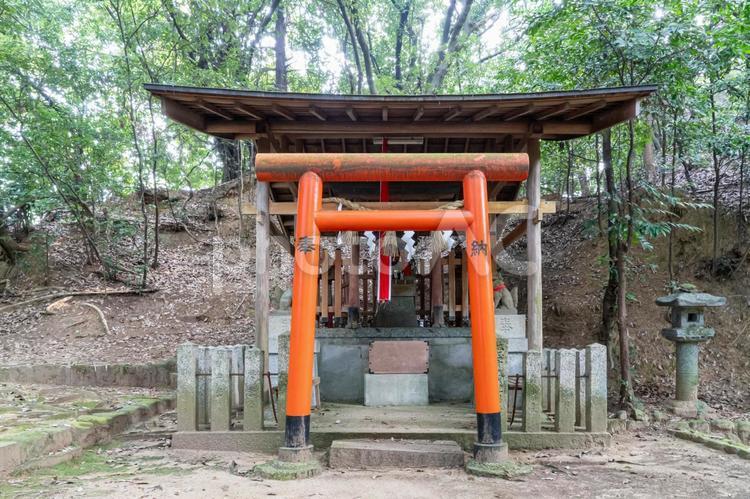 奈良　等彌神社　稲荷社 等彌神社,等彌,とみじんじゃの写真素材