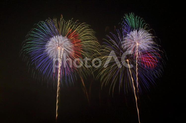 なにわ淀川花火大会2025 花火,打上花火,なにわ淀川花火大会の写真素材