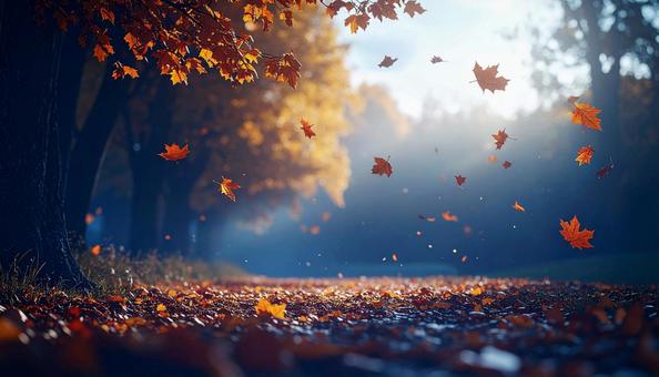 秋風に舞う紅葉と幻想的な森の小道 秋風に舞う紅葉と幻想的な森の小道の写真