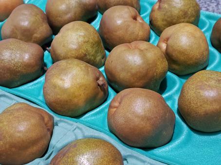 八百屋さんの「ラフランス」 ラフランス,八百屋,果物の写真素材