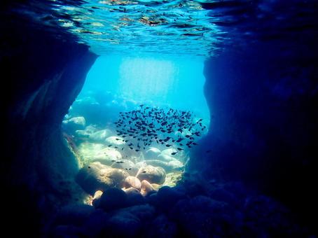逆光の魚影 逆光の魚影 魚影,海底,魚の写真素材