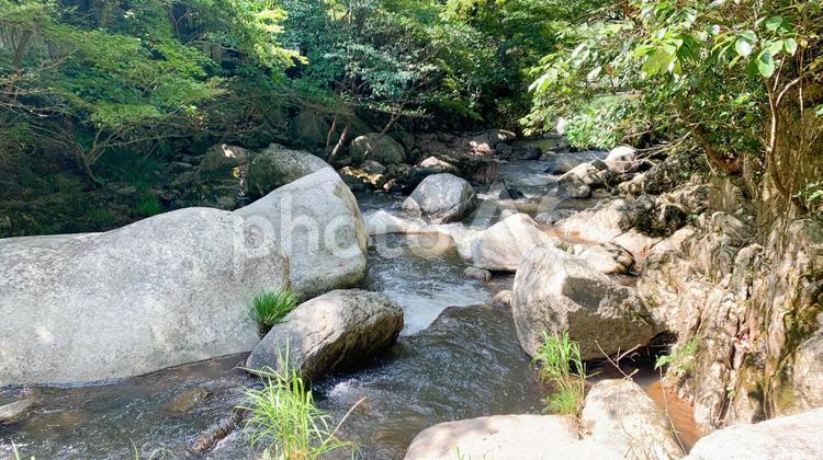 唐津市の見帰りの滝周辺 見帰りの滝,滝,自然公園の写真素材