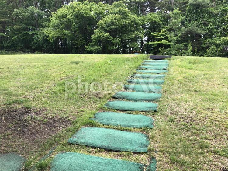 ゴルフ―階段（なるべくここを歩きましょう） ゴルフ,パッティング,パターの写真素材