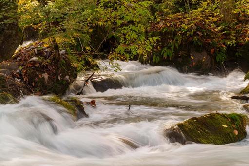 奥入瀬の紅葉の写真