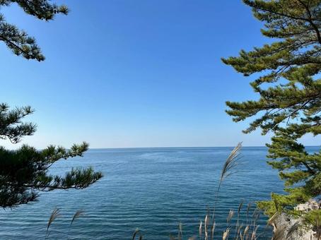 海と緑と青空と 海,空,青空の写真素材