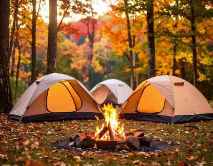 紅葉の林間サイトと焚き火台 紅葉の林間サイトと焚き火台の写真