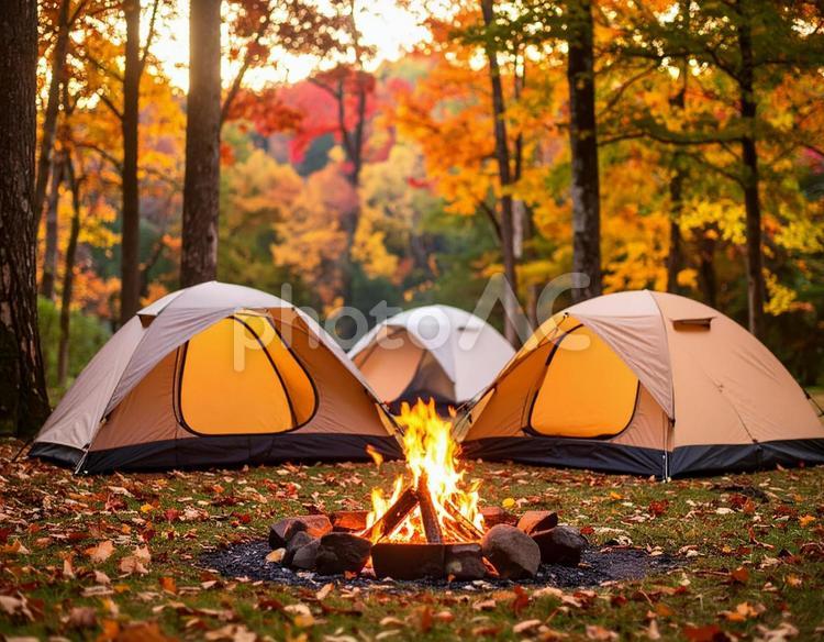 紅葉の林間サイトと焚き火台 紅葉,キャンプ,テントの写真素材