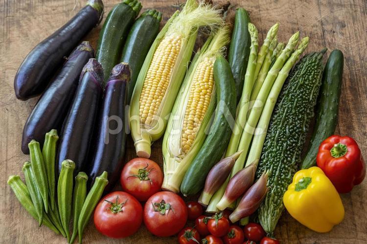 色とりどりの野菜　野菜集合 野菜,夏野菜,食材の写真素材