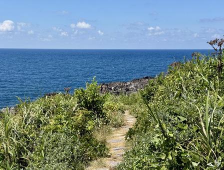 福井県東尋坊雄島島内の景色 福井県東尋坊雄島島内の景色 雄島,獣道,小道の写真素材
