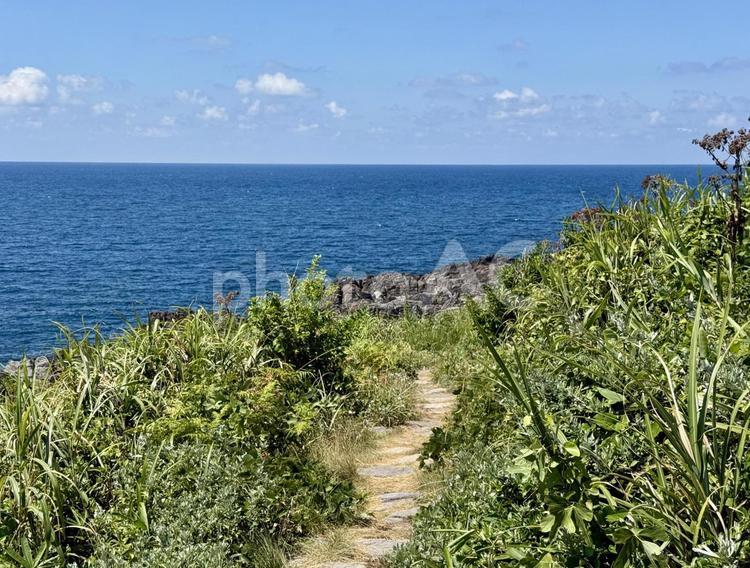 福井県東尋坊雄島島内の景色 雄島,獣道,小道の写真素材