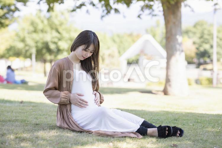 マタニティ／妊婦のイメージ 妊婦,妊娠,マタニティの写真素材