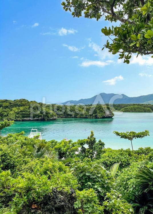 石垣島の美しい川平湾と緑濃く美しい木々 石垣島,川平湾,島の写真素材