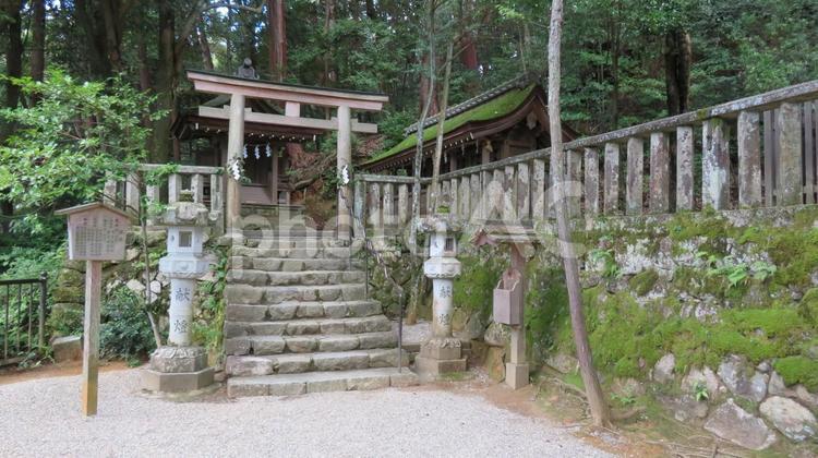 石上神宮　摂社　天神社と七座社 石上神宮,石上神社,いわがみさんの写真素材