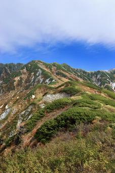 10年ぶりの紅葉当たり年 10年ぶりの紅葉当たり年 北アルプス,立山,室堂の写真素材