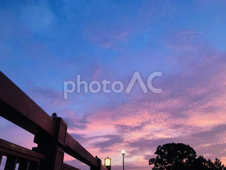 8月の鮮やかな朝焼け 朝焼け,風景,自然の写真素材