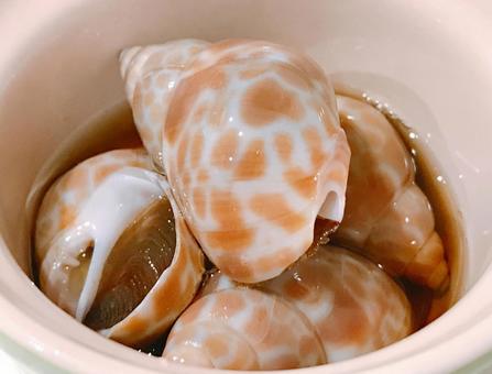 味付けバイ貝 味付けバイ貝,バイ貝,貝の写真素材