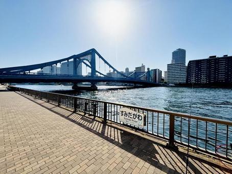 都会の自然(隅田川)2 都会の自然(隅田川)2の写真