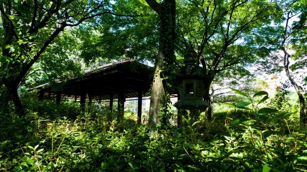 公園 公園の写真