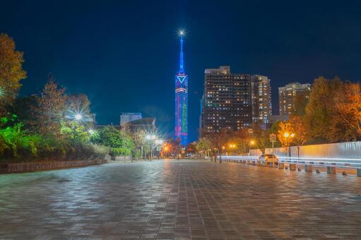 クリスマス仕様の福岡タワー 福岡タワー,夜景,クリスマスの写真素材